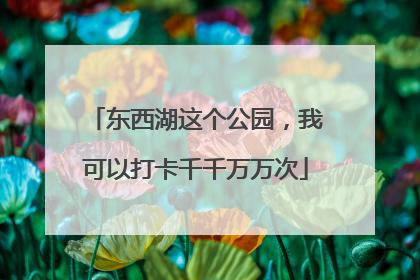 东西湖这个公园，我可以打卡千千万万次