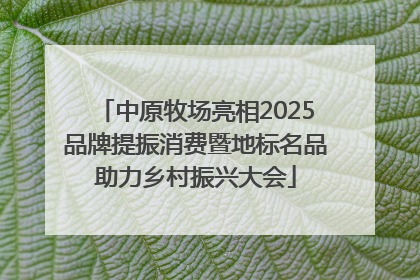 中原牧场亮相2025品牌提振消费暨地标名品助力乡村振兴大会