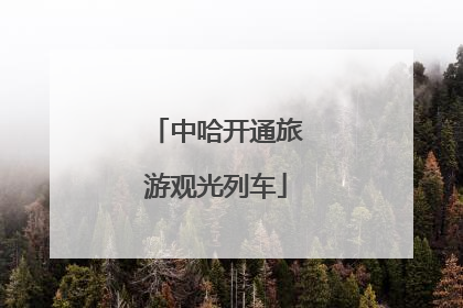 中哈开通旅游观光列车