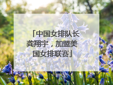 中国女排队长龚翔宇，加盟美国女排联赛