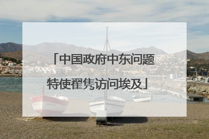 中国政府中东问题特使翟隽访问埃及