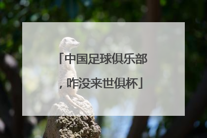 中国足球俱乐部，咋没来世俱杯