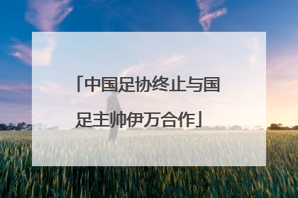 中国足协终止与国足主帅伊万合作