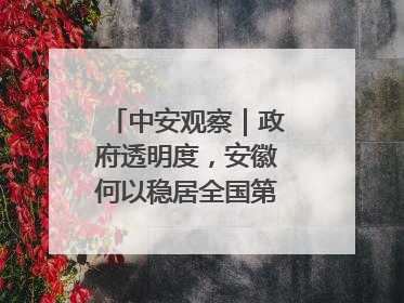 中安观察｜政府透明度，安徽何以稳居全国第一方阵？