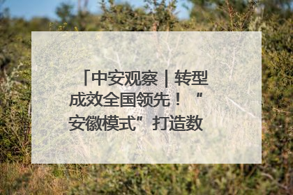 中安观察｜转型成效全国领先！“安徽模式”打造数字化转型新标杆