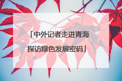 中外记者走进青海 探访绿色发展密码
