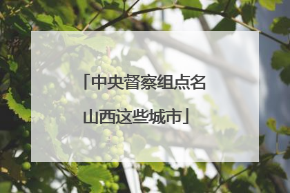 中央督察组点名山西这些城市