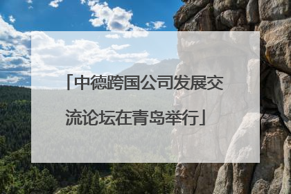 中德跨国公司发展交流论坛在青岛举行