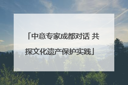 中意专家成都对话 共探文化遗产保护实践
