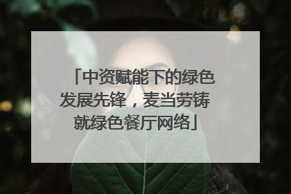 中资赋能下的绿色发展先锋，麦当劳铸就绿色餐厅网络