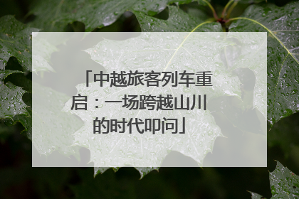 中越旅客列车重启：一场跨越山川的时代叩问