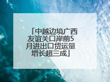 中越边境广西友谊关口岸前5月进出口货运量增长超三成