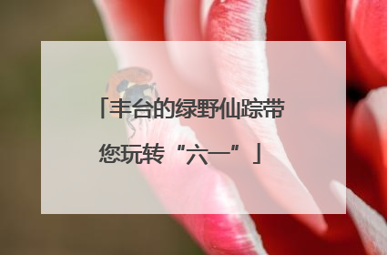 丰台的绿野仙踪带您玩转“六一”