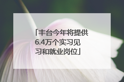 丰台今年将提供6.4万个实习见习和就业岗位