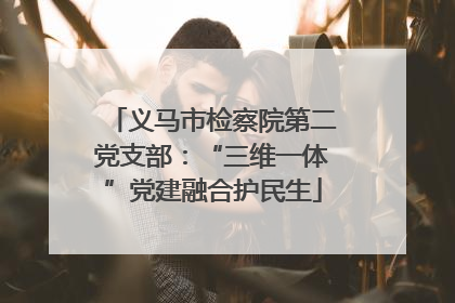 义马市检察院第二党支部：“三维一体”党建融合护民生