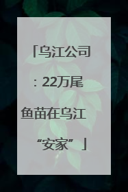 乌江公司：22万尾鱼苗在乌江“安家”