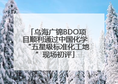 乌海广锦BDO项目顺利通过中国化学“五星级标准化工地”现场初评