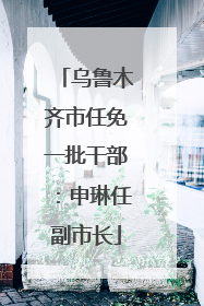乌鲁木齐市任免一批干部：申琳任副市长
