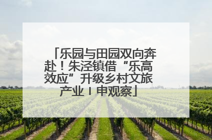 乐园与田园双向奔赴！朱泾镇借“乐高效应”升级乡村文旅产业〡申观察
