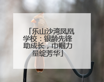 乐山沙湾凤凰学校：银龄先锋助成长，巾帼力量绽芳华