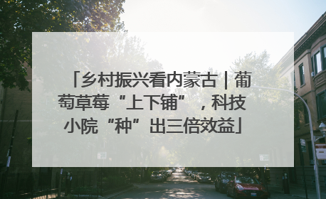 乡村振兴看内蒙古｜葡萄草莓“上下铺”，科技小院“种”出三倍效益