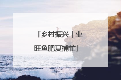 乡村振兴｜业旺鱼肥夏捕忙