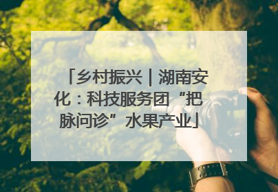 乡村振兴｜湖南安化：科技服务团“把脉问诊”水果产业