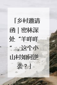 乡村邀请函｜密林深处“羊咩咩”，这个小山村如何逆袭？