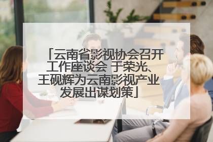 云南省影视协会召开工作座谈会 于荣光、王砚辉为云南影视产业发展出谋划策