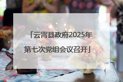 云霄县政府2025年第七次党组会议召开