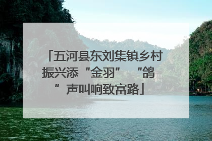 五河县东刘集镇乡村振兴添“金羽” “鸽”声叫响致富路