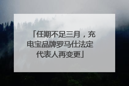 任期不足三月，充电宝品牌罗马仕法定代表人再变更