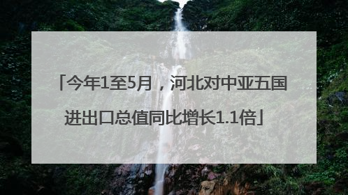 今年1至5月，河北对中亚五国进出口总值同比增长1.1倍
