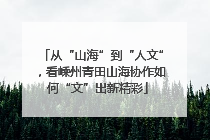 从“山海”到“人文”，看嵊州青田山海协作如何“文”出新精彩