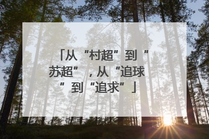 从“村超”到“苏超”，从“追球”到“追求”