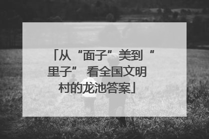 从“面子”美到“里子” 看全国文明村的龙池答案
