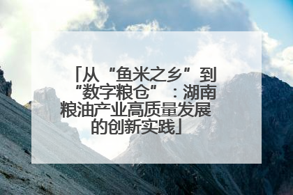 从“鱼米之乡”到“数字粮仓”：湖南粮油产业高质量发展的创新实践