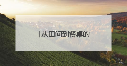 从田间到餐桌的品质坚守：白象用“一碗面”解码健康主食升级密码