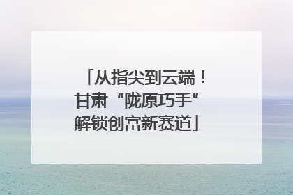 从指尖到云端！甘肃“陇原巧手”解锁创富新赛道