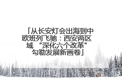 从长安灯会出海到中欧班列飞驰：西安两区域 “深化六个改革” 勾勒发展新画卷
