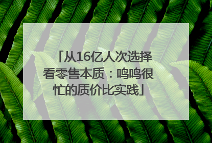 从16亿人次选择看零售本质：鸣鸣很忙的质价比实践