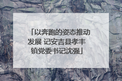 以奔跑的姿态推动发展 记安吉县孝丰镇党委书记沈强