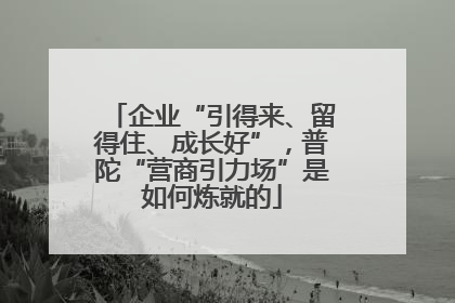 企业“引得来、留得住、成长好”，普陀“营商引力场”是如何炼就的