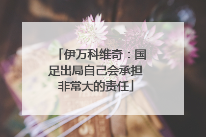伊万科维奇：国足出局自己会承担非常大的责任