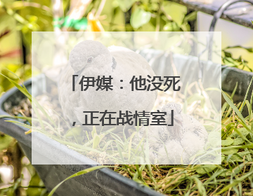 伊媒：他没死，正在战情室
