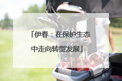 伊春：在保护生态中走向转型发展