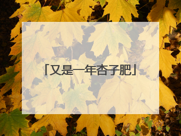 又是一年杏子肥