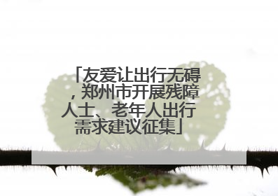 友爱让出行无碍，郑州市开展残障人士、老年人出行需求建议征集
