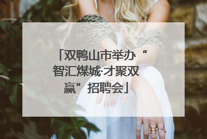 双鸭山市举办“智汇煤城·才聚双赢”招聘会