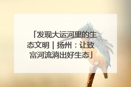 发现大运河里的生态文明｜扬州：让致富河流淌出好生态